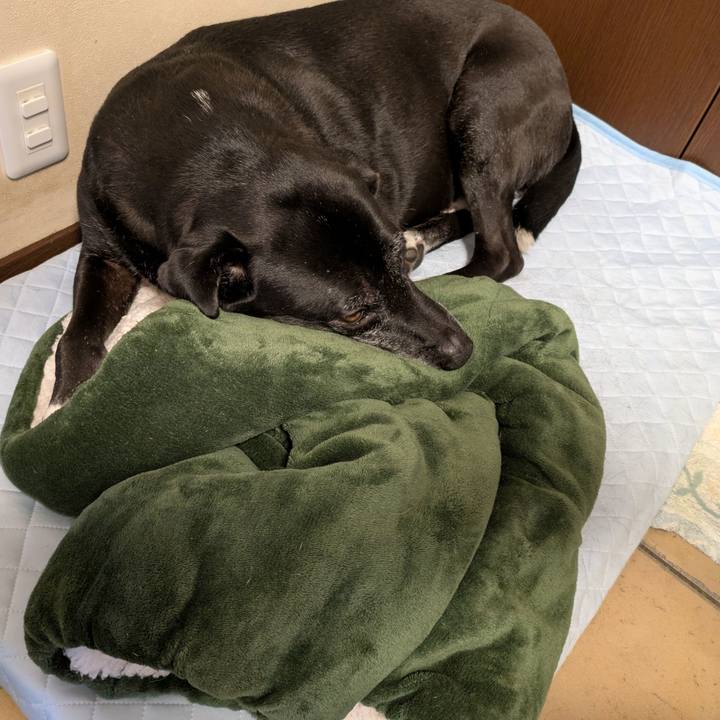 Ebe4036a fff0 416e a1d9 30af572e1aa6 1749344466303