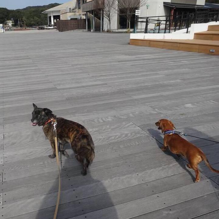 Ebe40f5d 9a97 4d46 a187 29f3011af4e3 1521421260331