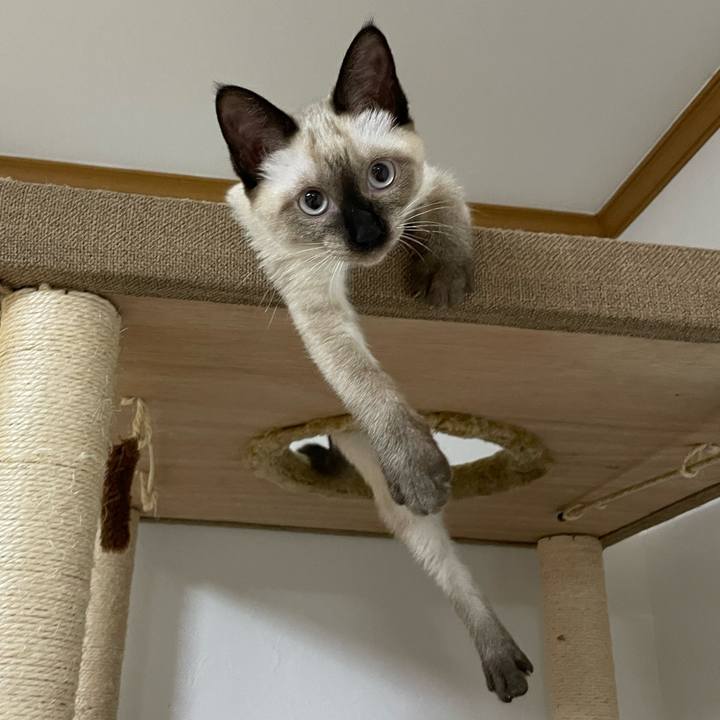 Ebe43ef6 0fff 423b a254 f6abcba08db0 1691871182199