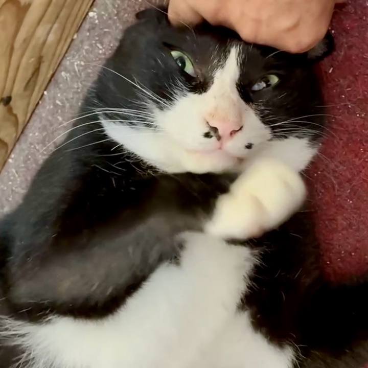 Ebe4558d ee3b 4c77 9168 9f7e69104d98 1753152550707