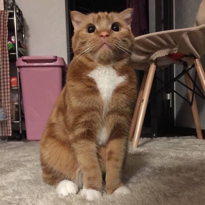 Ebe48303 b343 479e b20b afd9dd9c746a 1521795298767