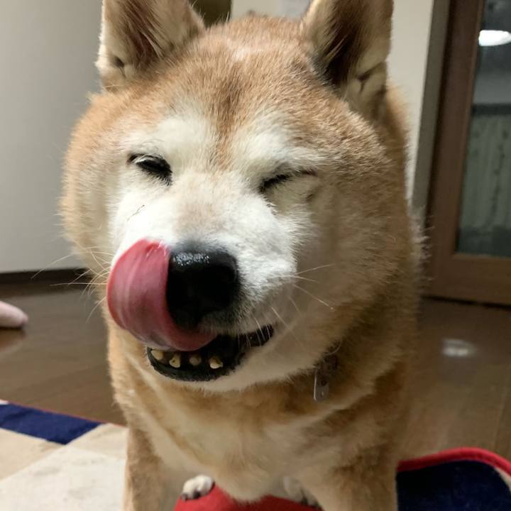 Ebe4a262 97b2 4665 a245 2dd6126b9f7d 1640696974667