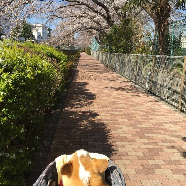 Ebe4a418 4911 4f68 8816 f29e2c5c581e 1554302027101