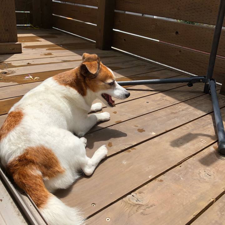 Ebe4b98c 8010 403f b879 4f51045de651 1529811296528