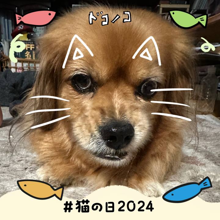 Ebe50c95 994b 423a 9295 742a112722dd 1708550104062