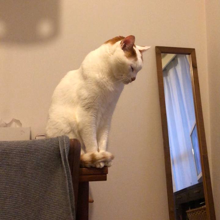 Ebe544cb e8a4 429f bb50 a7c80c1572de 1609801860766