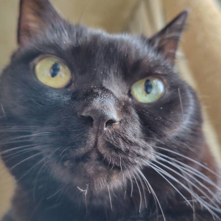 Ebe5a42b d037 40c7 866a 8fa3f8bbd383 1758583889813