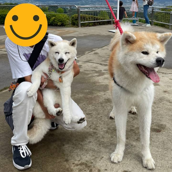 Ebe5af8d c6e8 48ff b1b9 36c06cbe4c8a 1727176945706