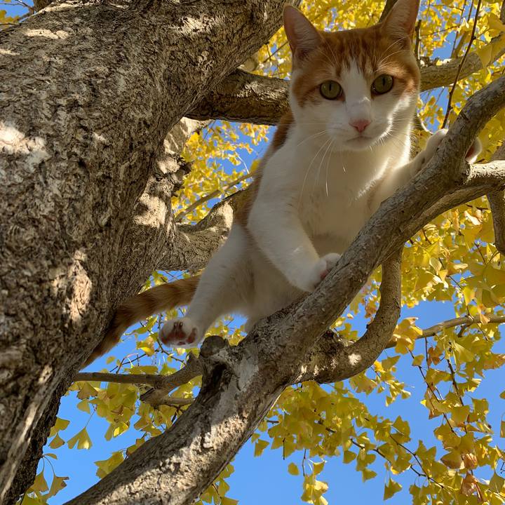 Ebe5f3b7 f94a 4426 a3cc 79590b71b8c3 1573616523447