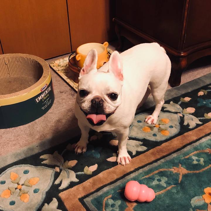 Ebe5f932 8d46 4ce6 a5fe b4625c9a9770 1599735859219