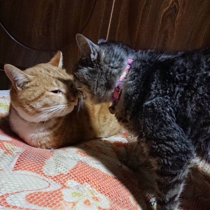 Ebe6183b 97c5 4f2b 9a47 5b0484bf4188 1578315811368