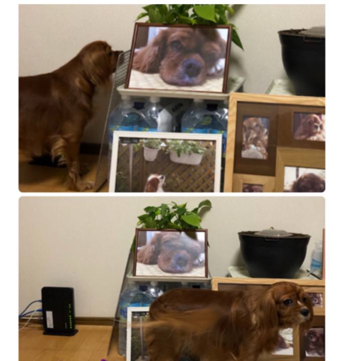 Ebe61c0a 1b6f 4f0a ab34 2ac141a8da2a 1541679269318