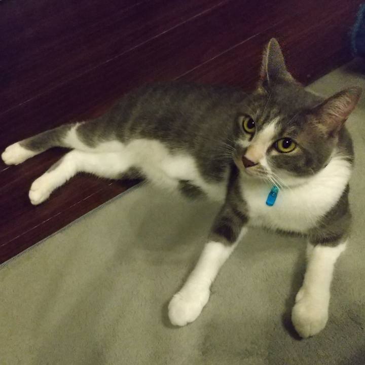 Ebe63625 dd63 4110 8481 4b928ac82996 1597499961622