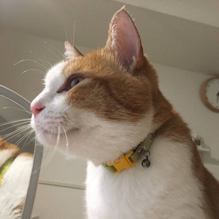 Ebe639e9 a888 4926 9875 98604d6695e7 1592602089952