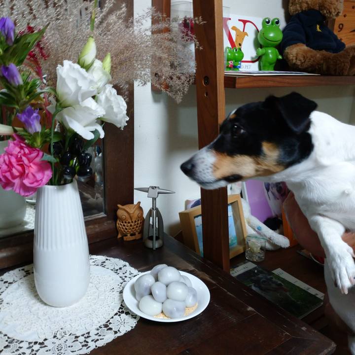 Ebe65c3a 871e 4ecf 9ca6 2625bc08b723 1632229667956