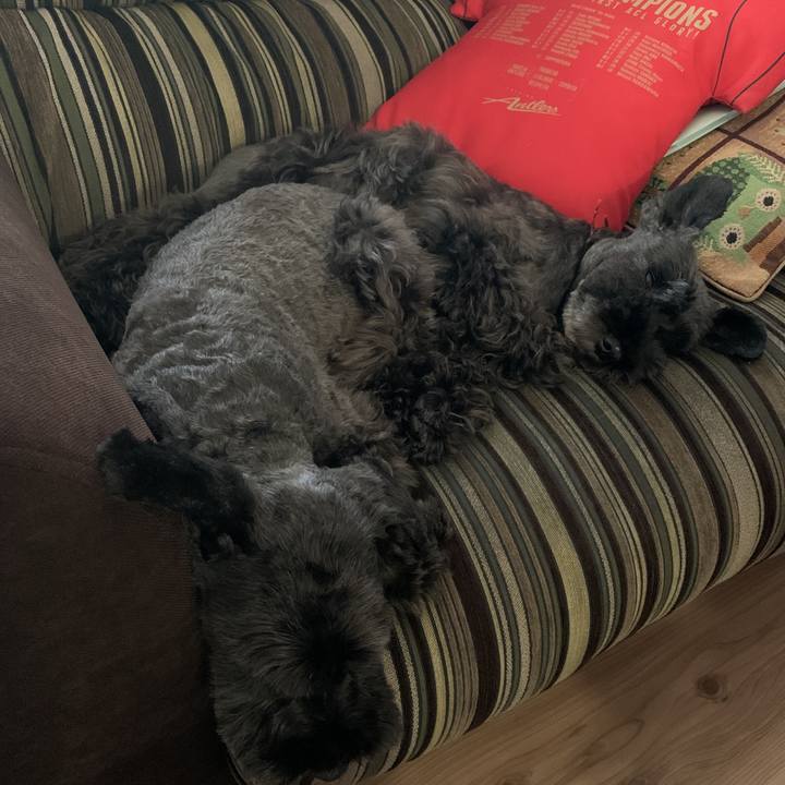 Ebe68fe5 e92d 4809 a284 2c375bab9c06 1597727690655