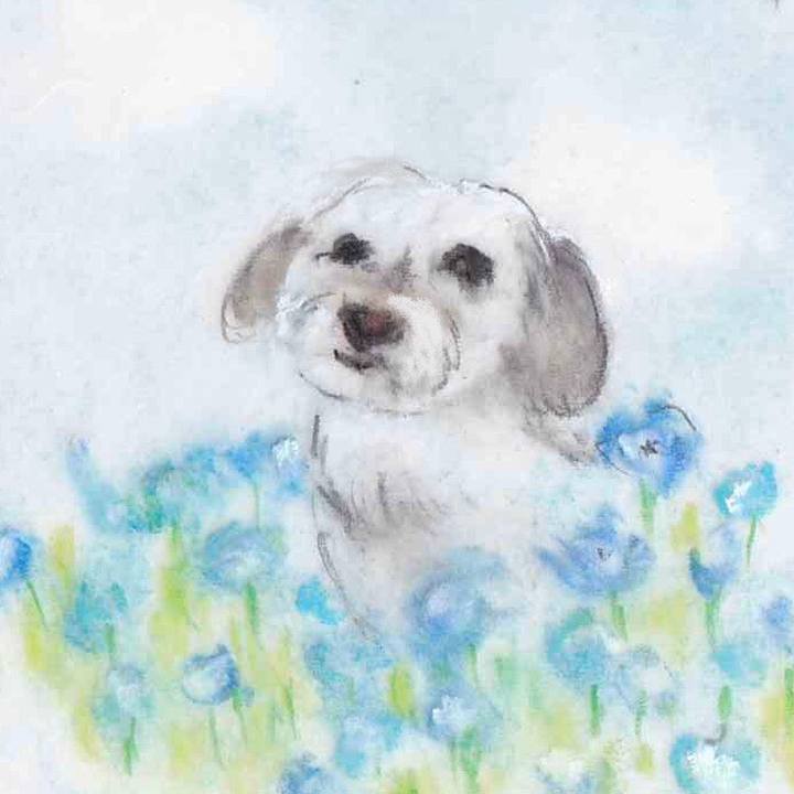 Ebe6f957 3b6a 41bc 8936 43b38dad53e2 1652709153026