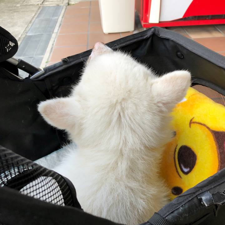 Ebe70e91 ed00 4528 b104 6e1af28e76b0 1661400009707