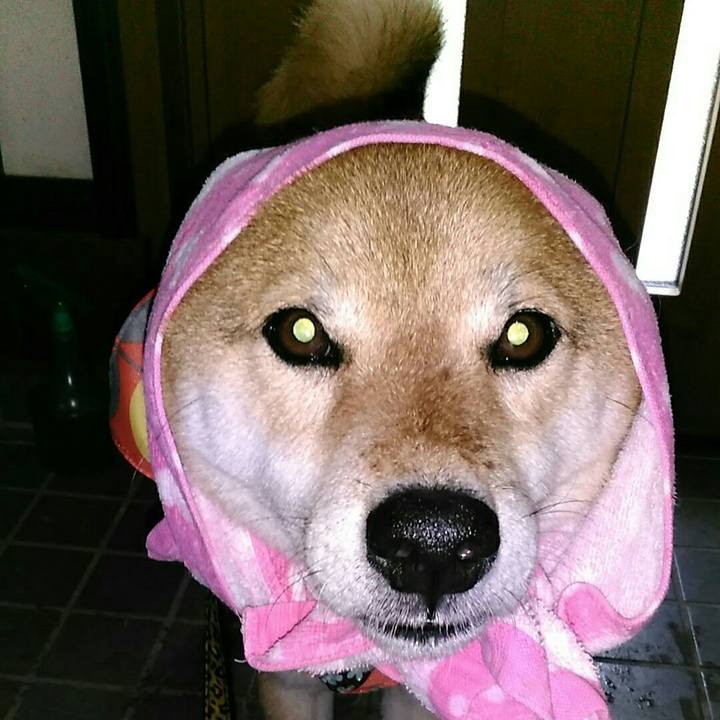 Ebe73f35 9de0 4c33 89f4 adfa383410b6 1560127744139