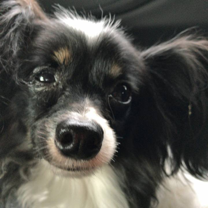 Ebe748a1 9029 4bf7 82a5 4d46420fc83d 1520207908156