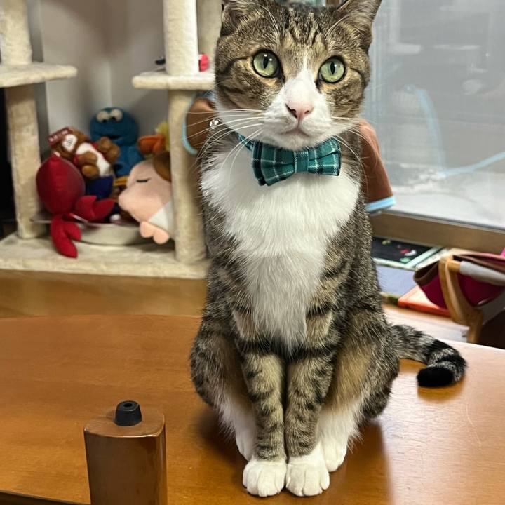 Ebe75e76 1474 4ee2 b1ef 9d41131181e3 1763395511734