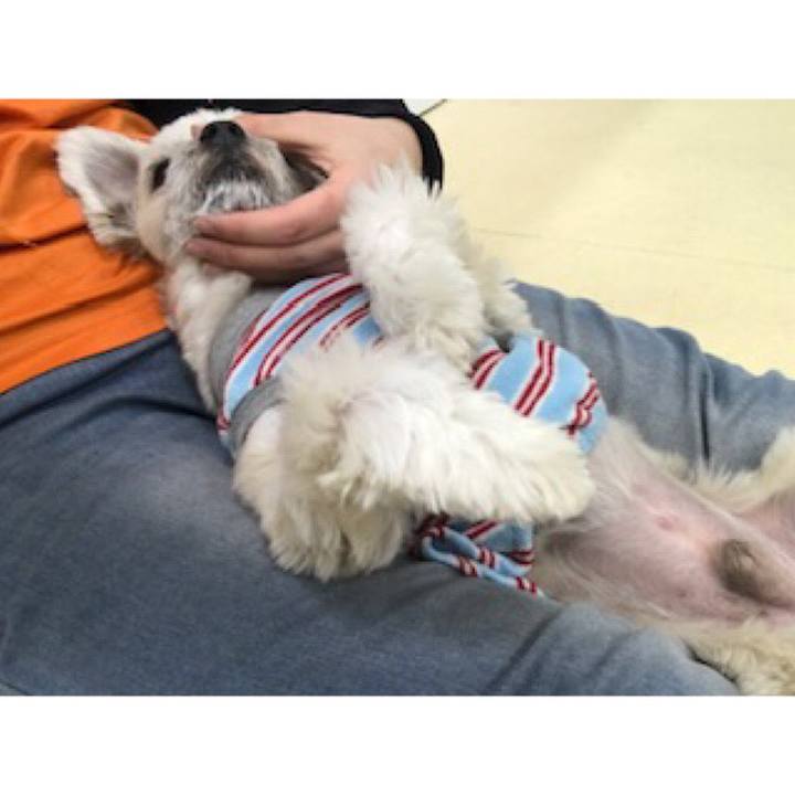 Ebe77379 ef29 4c8b 9ce3 95e163720de8 1550226882164