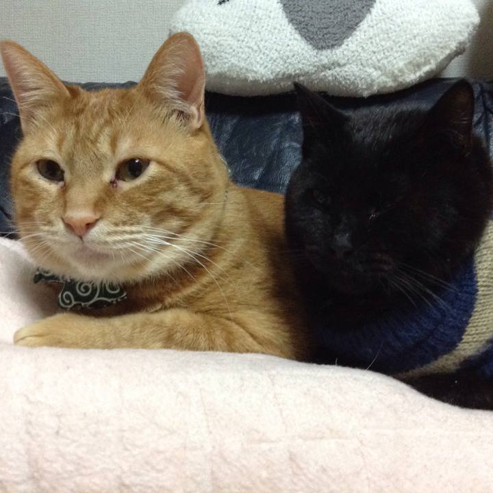 Ebe77c94 1e8e 4f8c bf75 a32109bb2b71 1549287411021