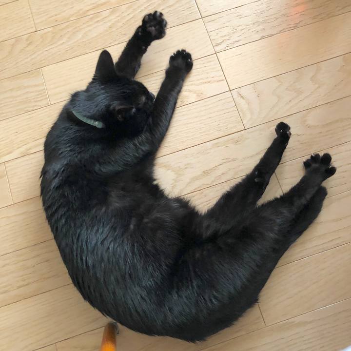 Ebe782bf 2b2c 4f19 bc9d f12129552028 1578830438922