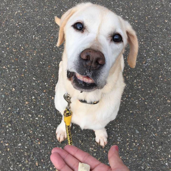 Ebe786aa e8d7 494a 9407 ffccfb78fb99 1536704332335