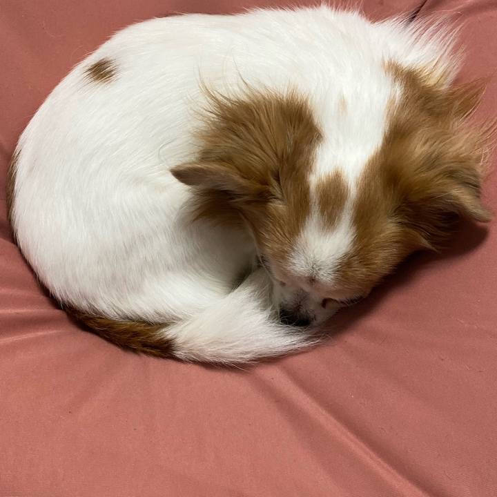 Ebe7b7e9 076b 4fb0 8c8a fa4a882775f3 1576332148167