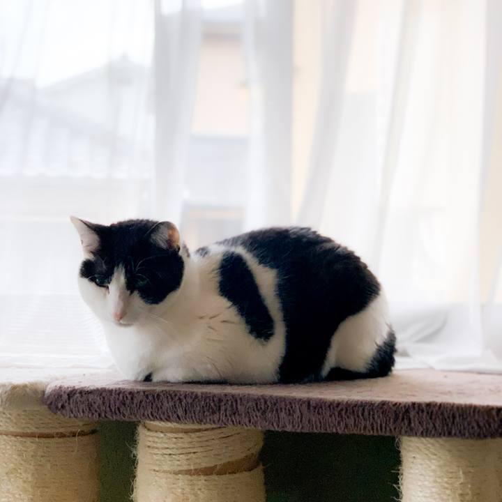 Ebe7d5ca 2bcb 4d96 a66b df937067e014 1592360656669