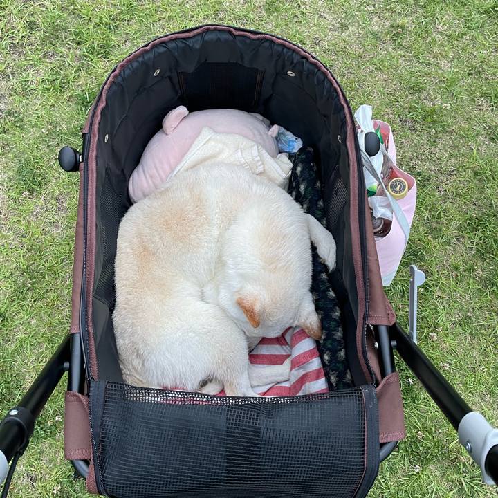 Ebe7e3ef 6f6a 4ff9 a6eb 7ef895d7629c 1654689177464