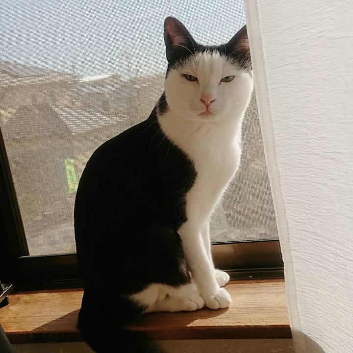 Ebe7fd6a 155f 4a59 82dd 8607f438bf3c 1517107237254