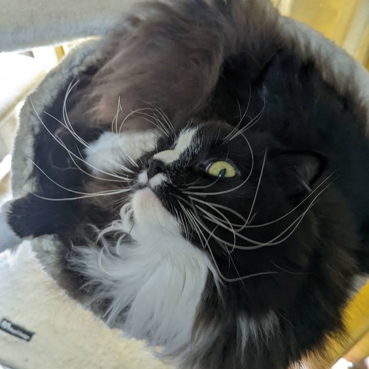 Ebe81419 1ae4 4617 8f18 8c408503f2a2 1669516765026