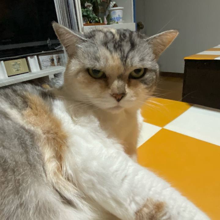 Ebe81553 b932 4e0d 9085 ef942efe81d5 1712662289452