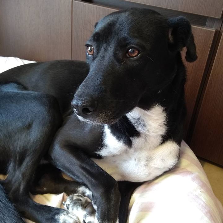 Ebe84ea7 675b 4f99 823f b28162b57652 1584614756226