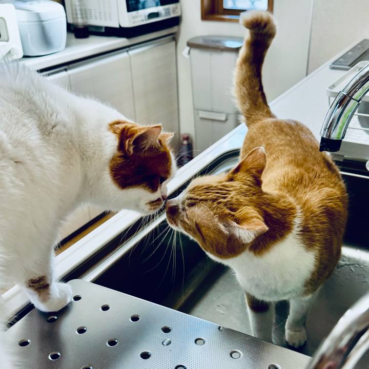 Ebe86390 9497 4934 bfaf 55519d840dd8 1773459229486