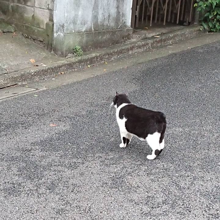 Ebe87358 5cae 464b 8848 674dee0d6585 1600300400083