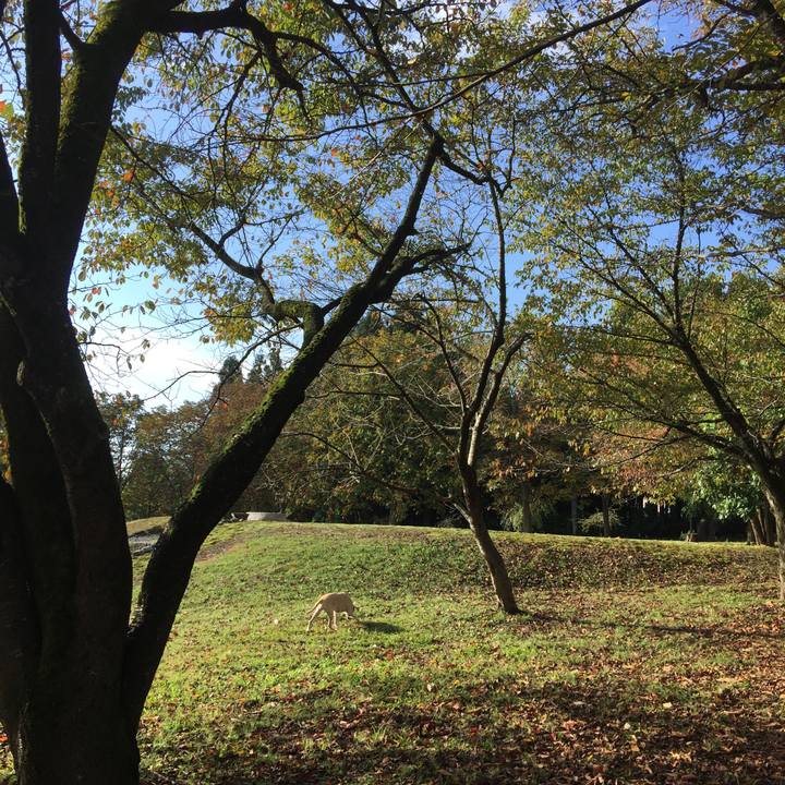 Ebe90786 7a37 4561 a9a5 ead2b19548a8 1568463364452