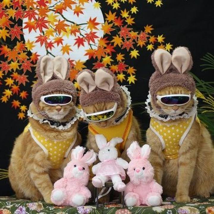 Ebe917f0 1892 4ce1 855c 54ed7cc13f20 1600155849812