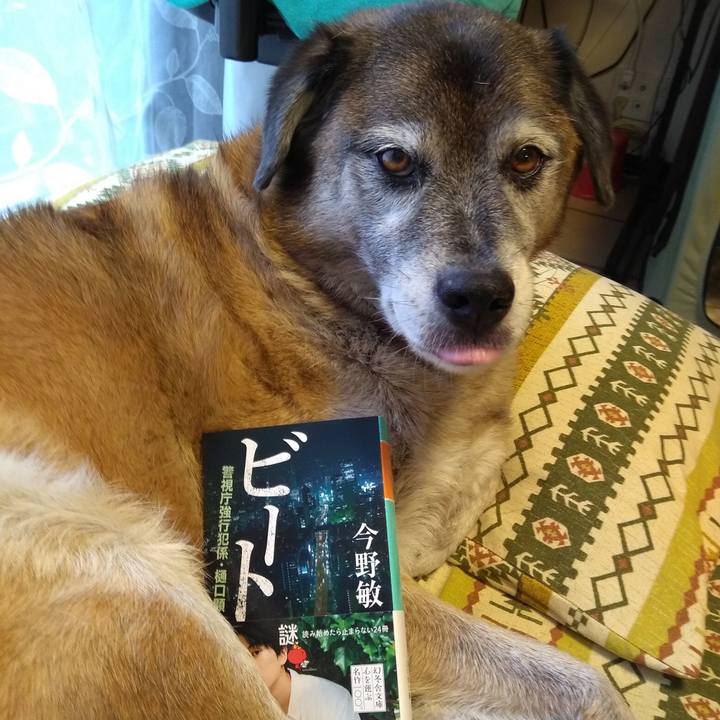 Ebe99dd6 568c 4ab3 aebb 784a5e212a89 1566461953266