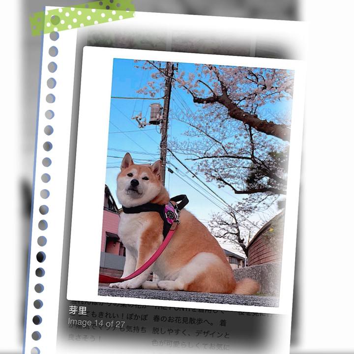 Ebe9b649 f44a 4834 a654 0aa7b7d60acb 1682941109547