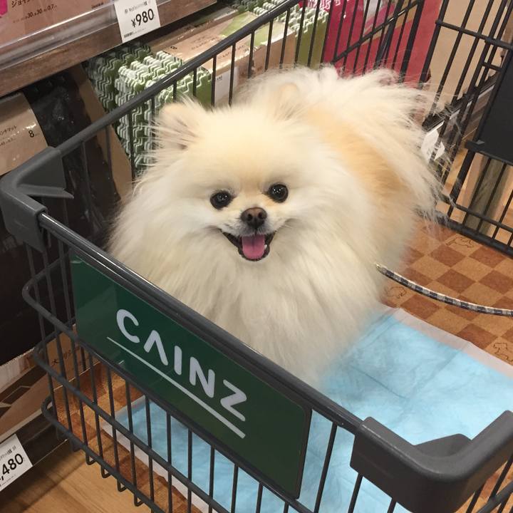 Ebea071e 5880 4cd2 9617 2413ccde6197 1553583793291