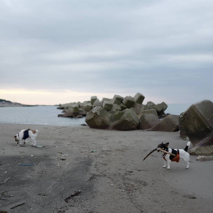 Ebea2d2d 2cee 4882 8a39 c1de271ea9a4 1513914899592