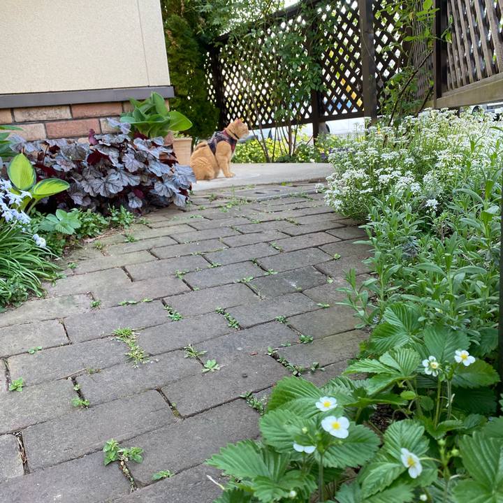 Ebea50d7 ea6a 4266 bd7d 4ac017c709d1 1652406091901