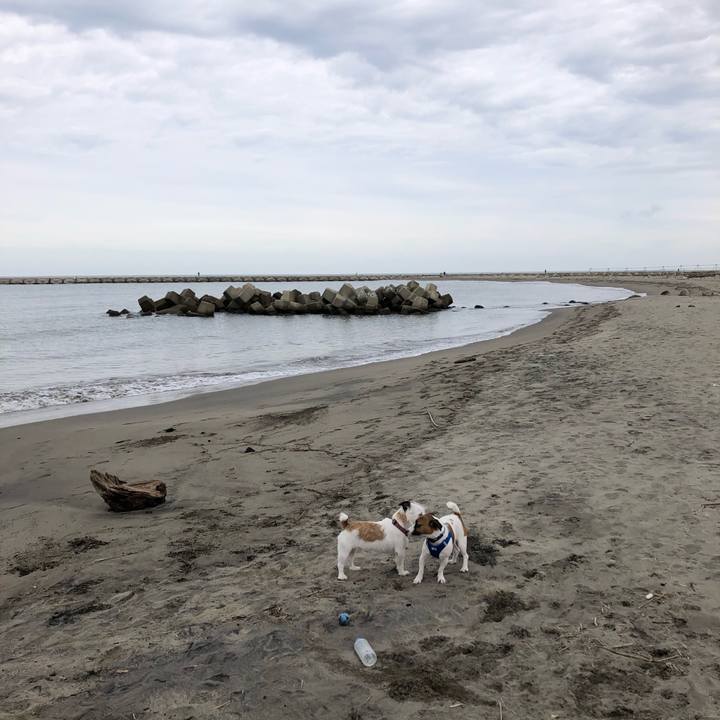 Ebea5529 e877 4aeb ab95 261e9a71914f 1600559096746