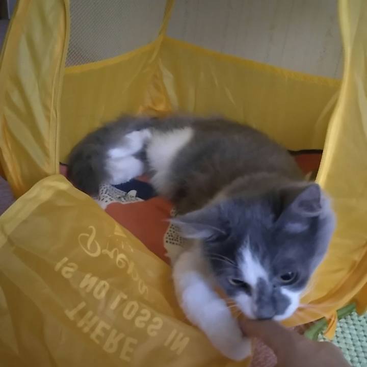 Ebea957b 45e0 451b accc f0f36cae9d42 1568849027905