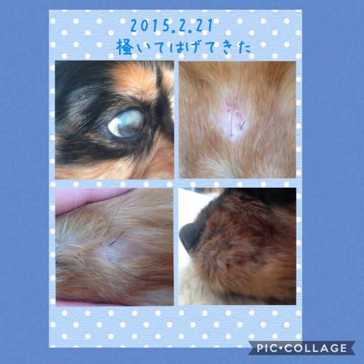 Ebea9a39 99f9 4a0c 8373 e23f6e247367 1533479607027