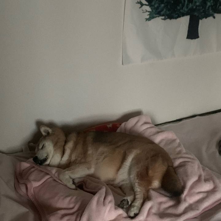 Ebeab328 9793 448f afc8 85c52d9124ad 1669248820641