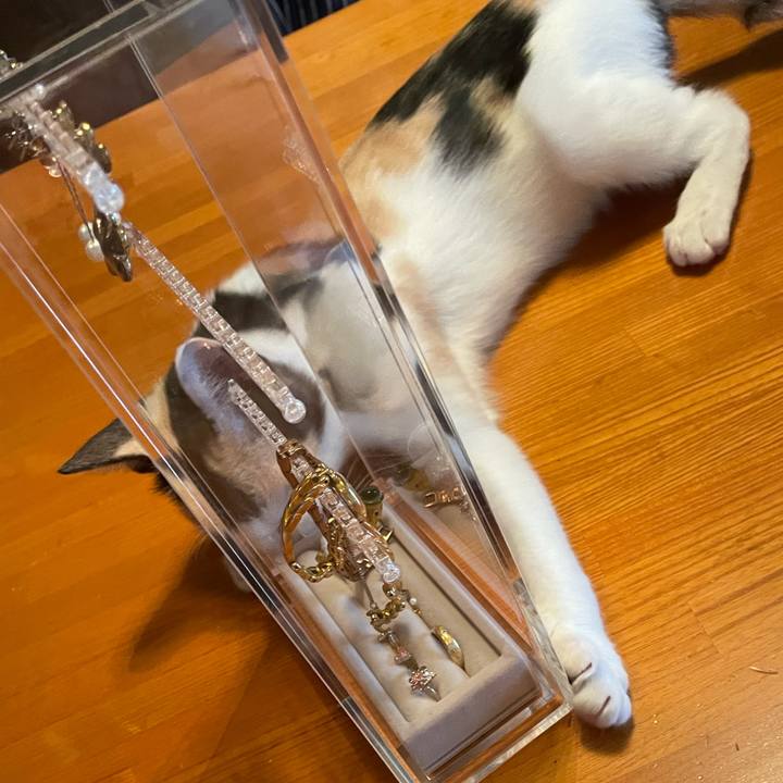 Ebeabef3 69b3 4635 a1a9 e93861dbcb0d 1662522474663